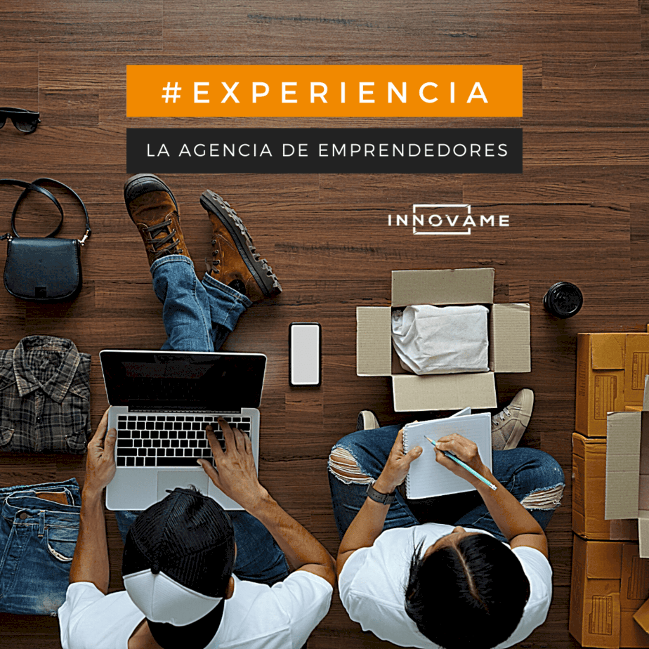 6 agencia digital